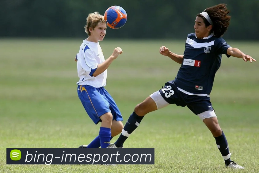 IM电竞APP 体育赛事宣传图